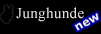 Junghunde