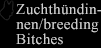 Zuchth&uuml;ndinnen/breeding Bitches