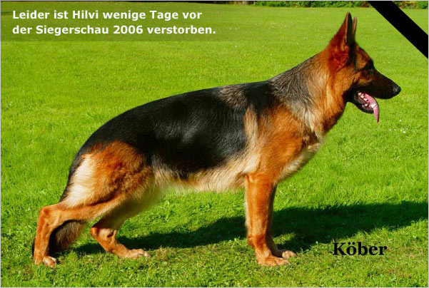 Hilvi vom Hühnegrab