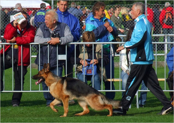 MARA in Aktion - Finale Siegerschau Braunschweig 2007