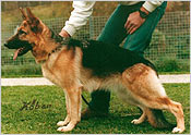 Xenie aus Wattenscheid