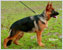Selina aus Wattenscheid