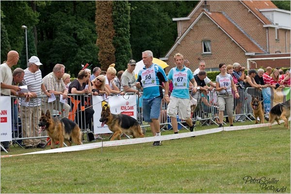 Belgische Siegerschau