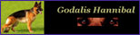 www.godalishannibal.de