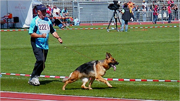 Mara aus Wattenscheid