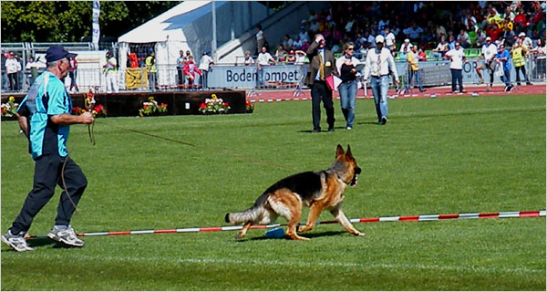 Mara aus Wattenscheid