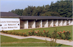 Zwinger "aus Wattenscheid"